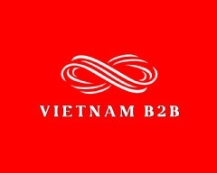 vietnam b2b