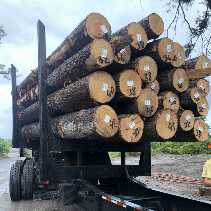 (SYP) PINE LOGTIMA CAPITAL INC.2023 Vietnam International Woodworking