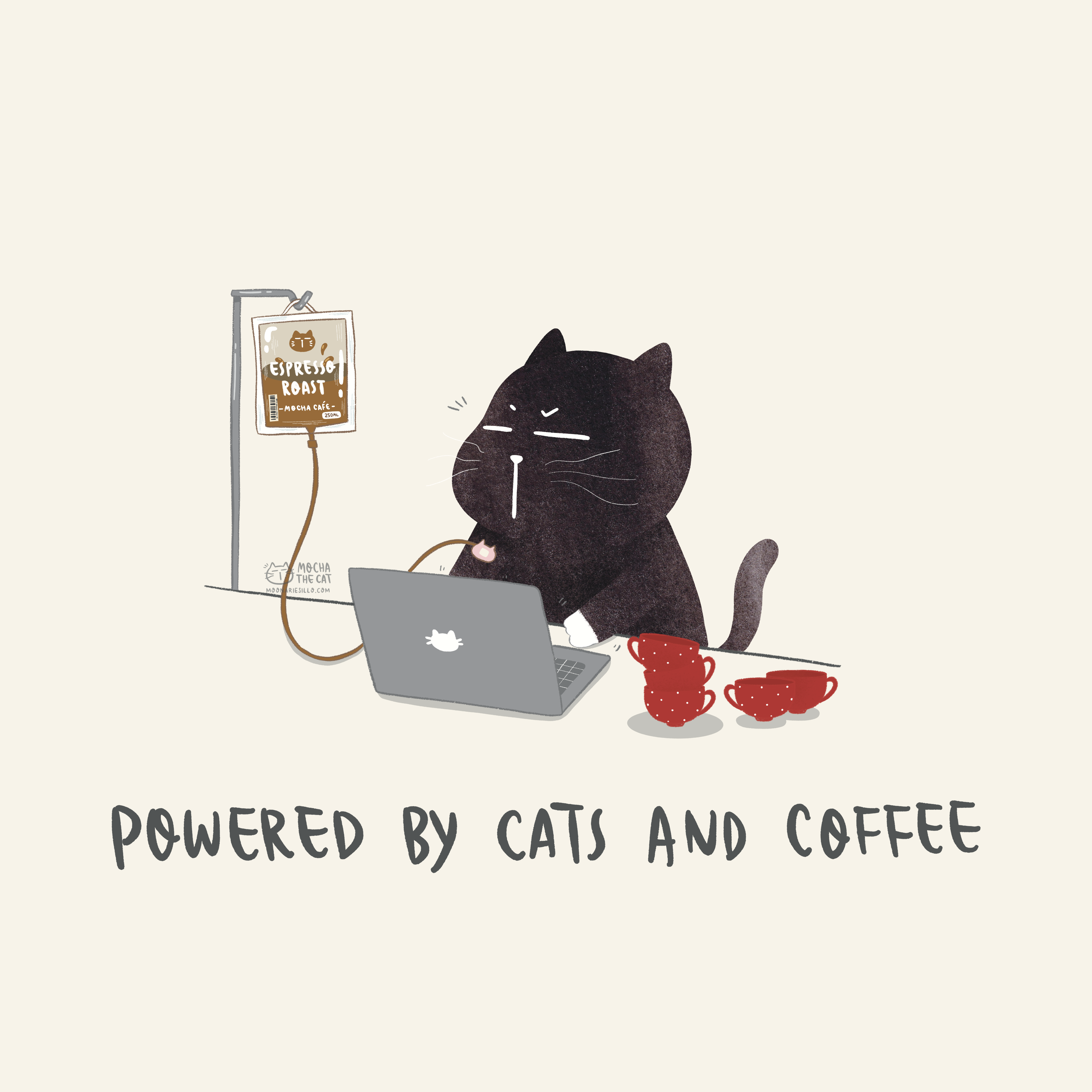 Mocha Cat