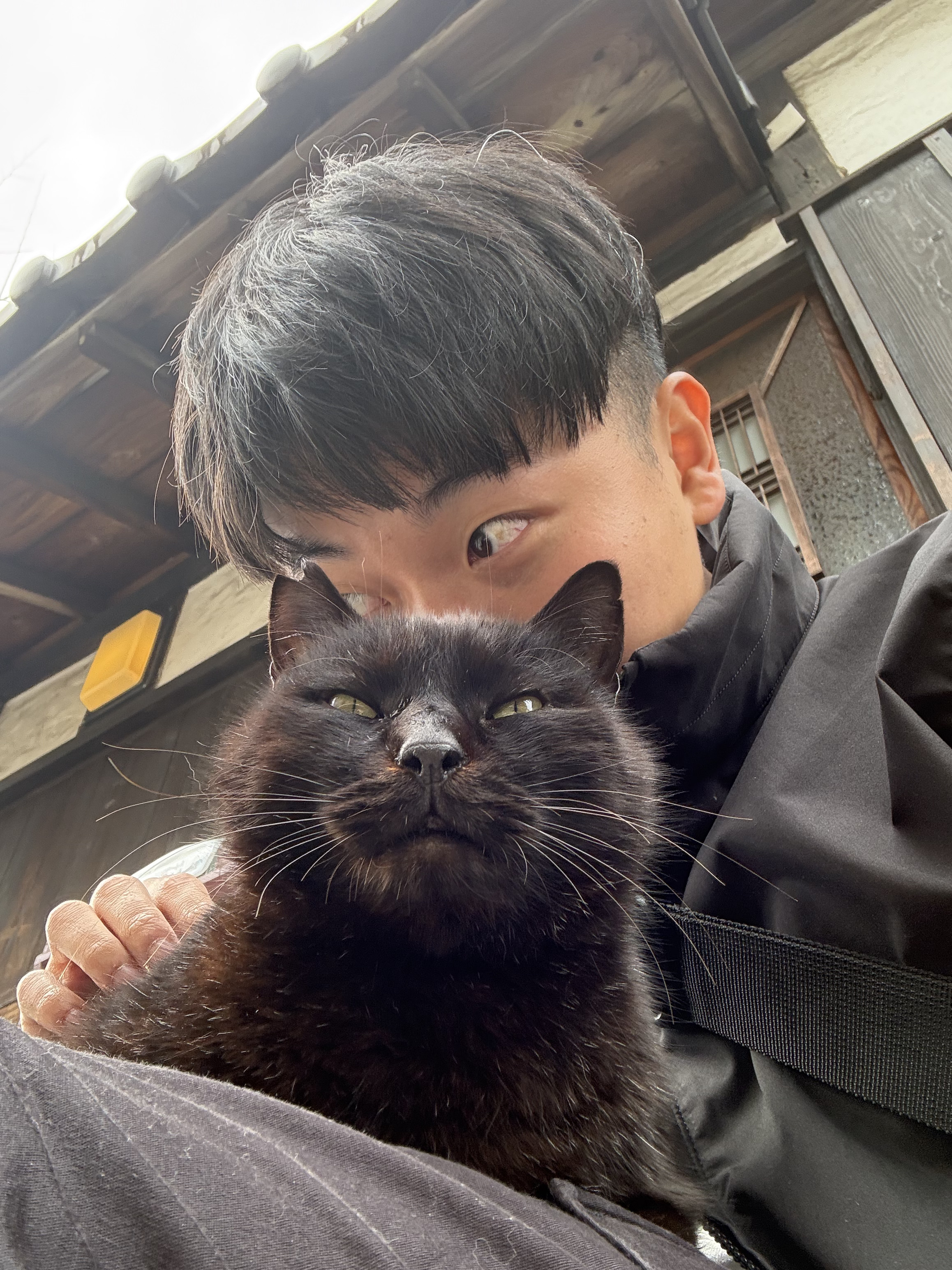 貓七